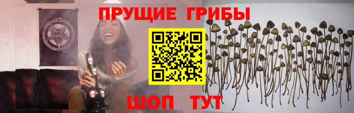 Псилоцибиновые грибы Magic Shrooms Волжск