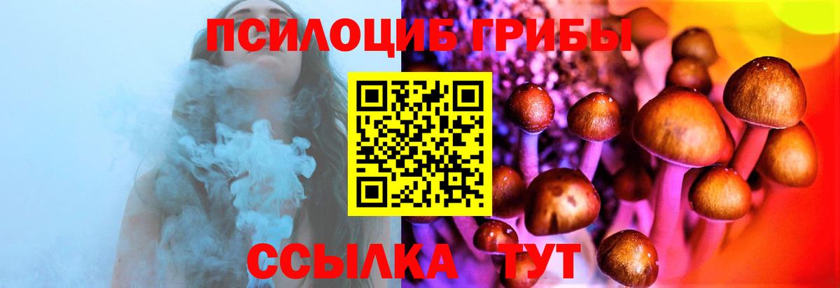Волжск  Галлюциногенные грибы Magic Shrooms  Галлюциногенные грибы Psilocybine cubensis  Вход с VPN 